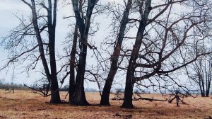 03-12-2025. Опоздалая зима