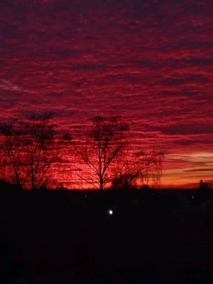 играем в миту.