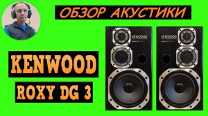 Обзор акустической системы KENWOOD ROXY DG3