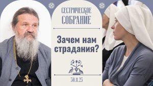 Простая формула духовной жизни! Сестрическое собрание с о. Андреем Лемешонком 30.11.25