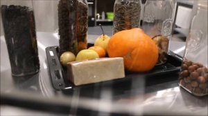 Кайко не интересует новое кольцо, ему нравится каждый раз искать фотографа 27.11.2025