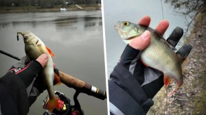 Открываюсь по низкой воде на МР. Микруха!