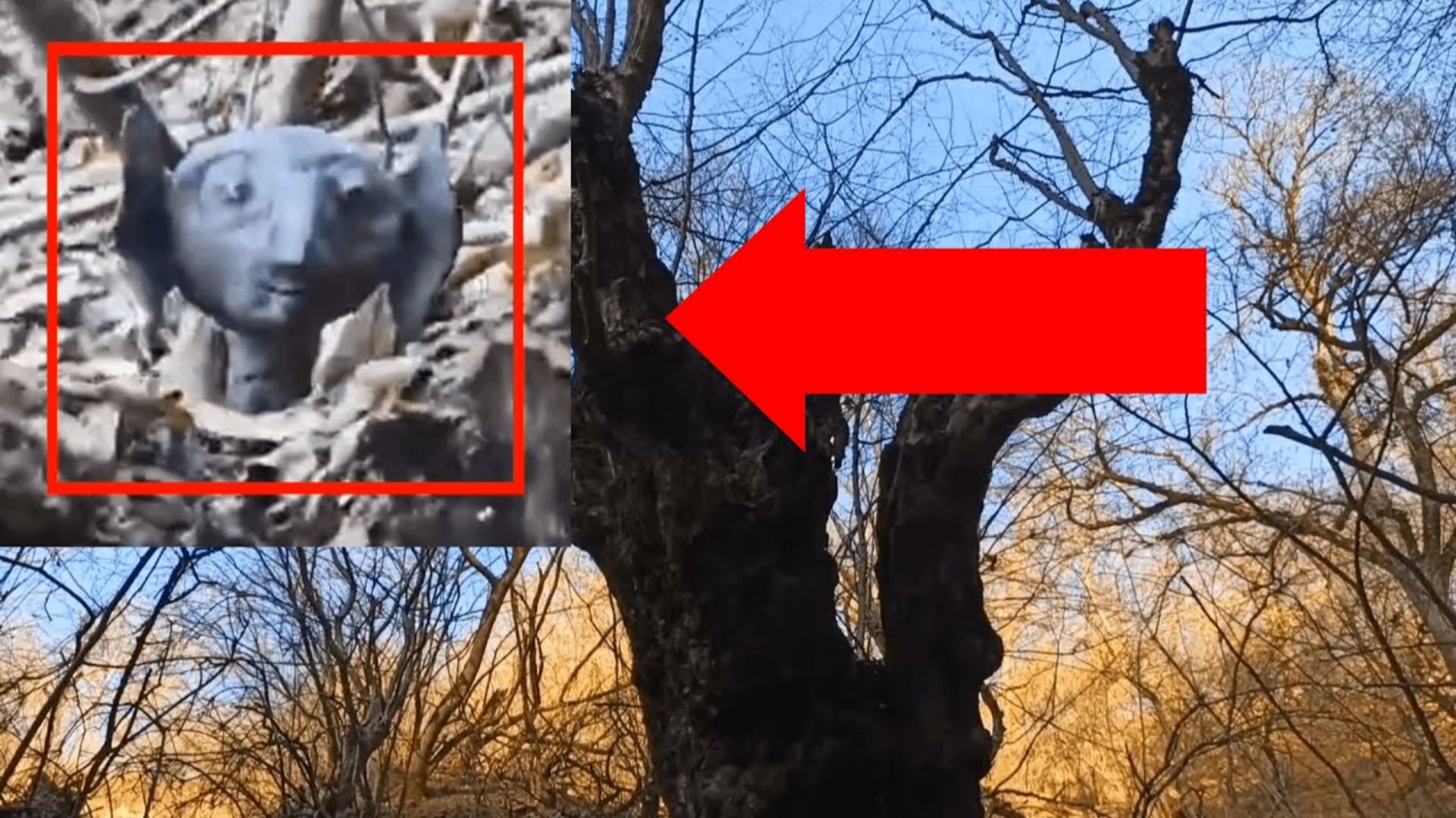 Страшные видео! Жуткое существо криповое похожий на Смеагол в лесу смотреть онлайн