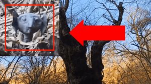 Страшные видео! Жуткое существо криповое похожий на Смеагол в лесу