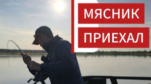 Новинки серии Ombra.