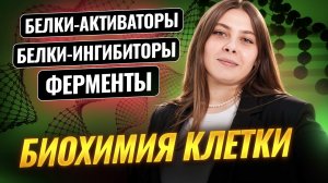 Белки-активаторы, белки-ингибиторы | Как работают ферменты | Биохимия клетки | Биология ЕГЭ | Умскул