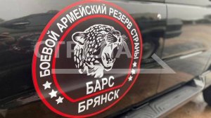 БАРС и Барсик