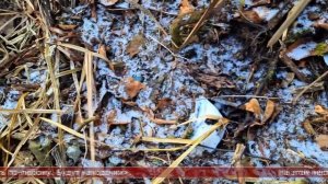 03.12.2025 Сахалинские блоги. NASHOSTROV. Сахалин - не могу закрыть сезон Карафуто копа