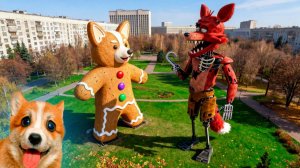 МИНИ КОРГИ КОРЖИК. НАЧАЛО И ПРОДОЛЖЕНИЕ