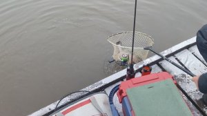 Основной водоём. На резину.