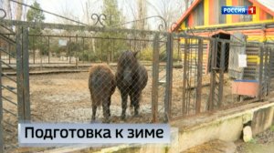 Сотрудники зоопарка в Докучаевске начали активную подготовку к зимнему сезону