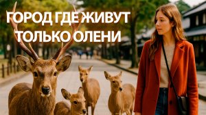 Город, где живут только олени. И я туда попала…