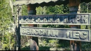 Вепсский лес,совместный выезд с клубом Gladiator