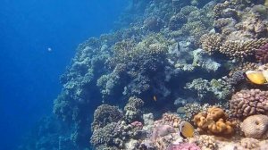 Вешка обозначающая течения на El Fanar