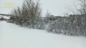 Воркута. 02.12.25. Ну во и зима))))