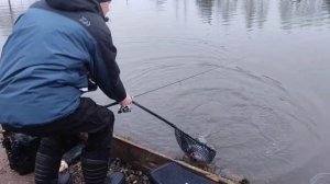 video5296652191682036108