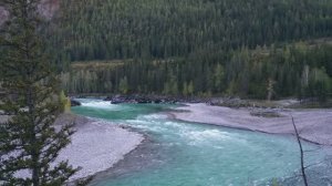 Гастрофестиваль Боргойская баранина.Буланов Никита Станиславович. Фестиваль «Земля открытий»