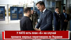 У НАТО есть план «Б» на случай провала мирных переговоров по Украине