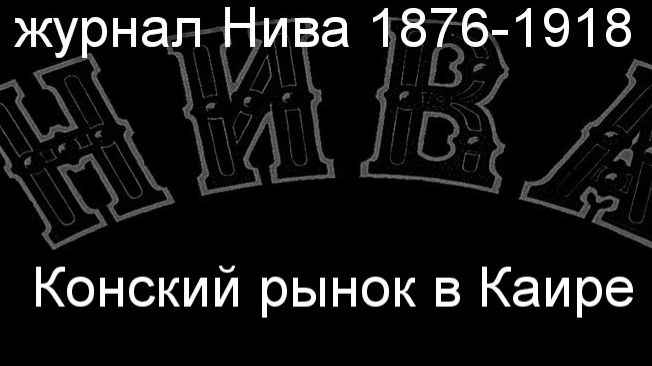 Конский рынок, в Каире.Айдукевич,описание журнал Нива 1876-1918 смотреть онлайн