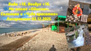 Вода +18, воздух +16 на пляже Одиссея! Ул.Солоники и "Чудо красотка" Лазаревское 03.12.2025.