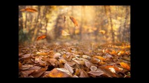 What the foliage keeps silent abou