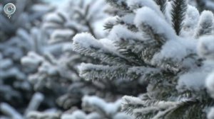 НОВОСТИ УТРА – 03 декабря 2025 [1080] [audiovk.com]