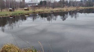 Утренний обзор.