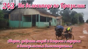Аварии, добрые люди, ягуар, встреча с венесуэльцем. На велосипеде по Южной Америке День 243 Бразилия