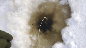 Таймень разогнул крючек(по закону подлости взял мелкий). Далее коры при смене крючка😆😆😆