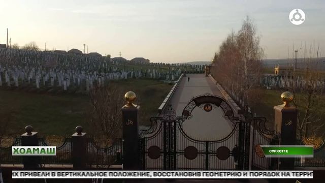 Сурхо т1ара кашамаш тоадаьд