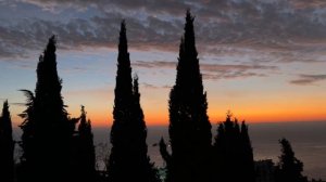 Ялта. Осенний рассвет. Море и кипарисы. 30 Ноября 2025. Крым. Crimea. Yalta.