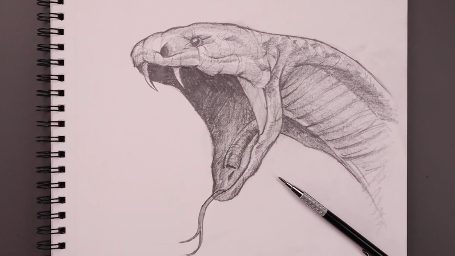 Как нарисовать змею Кобру карандашом поэтапно