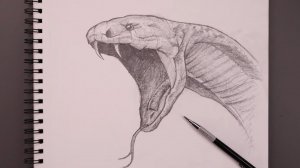 Как нарисовать змею Кобру карандашом поэтапно