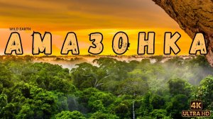 Дикая Амазонка Легенды джунглей Wild Amazon Legends of the Junglе WILD EARTH