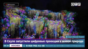 В Сеуле запустили цифровые проекции в живой природе
