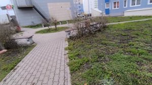 Идём с Леной в магазин ✅