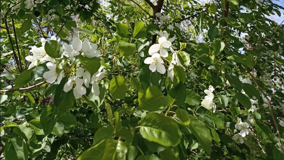 МЕДЛЕННО И ТИХО. НА НЕИЗВЕСТНОМ ФОРТЕПИАНО ДЛЯ ДУШИ