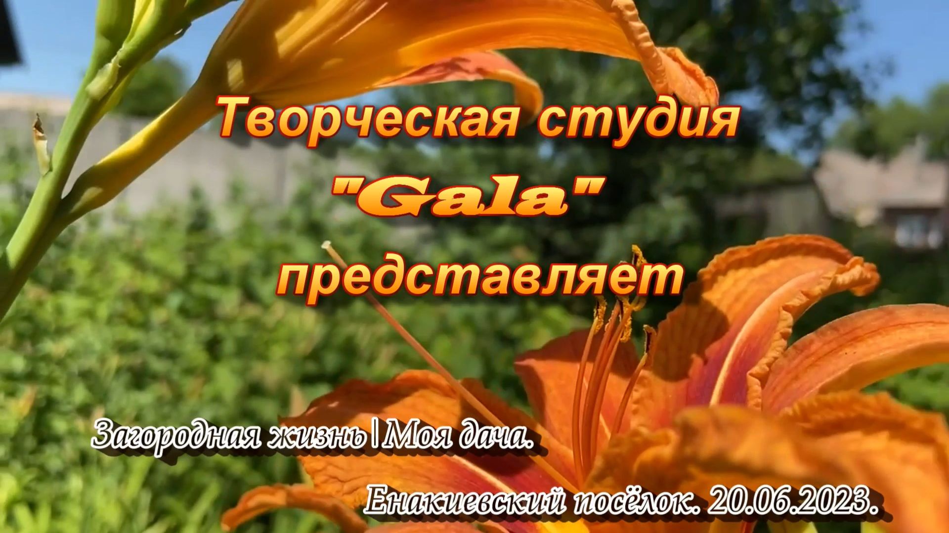 2023. "Загородная жизнь | Обзор дачного участка в июне". 20.06.2025.