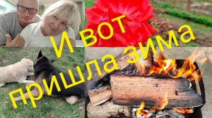 Шейх Курчанский.Мы рождены чтоб сказку сделать былью.Картина маслом