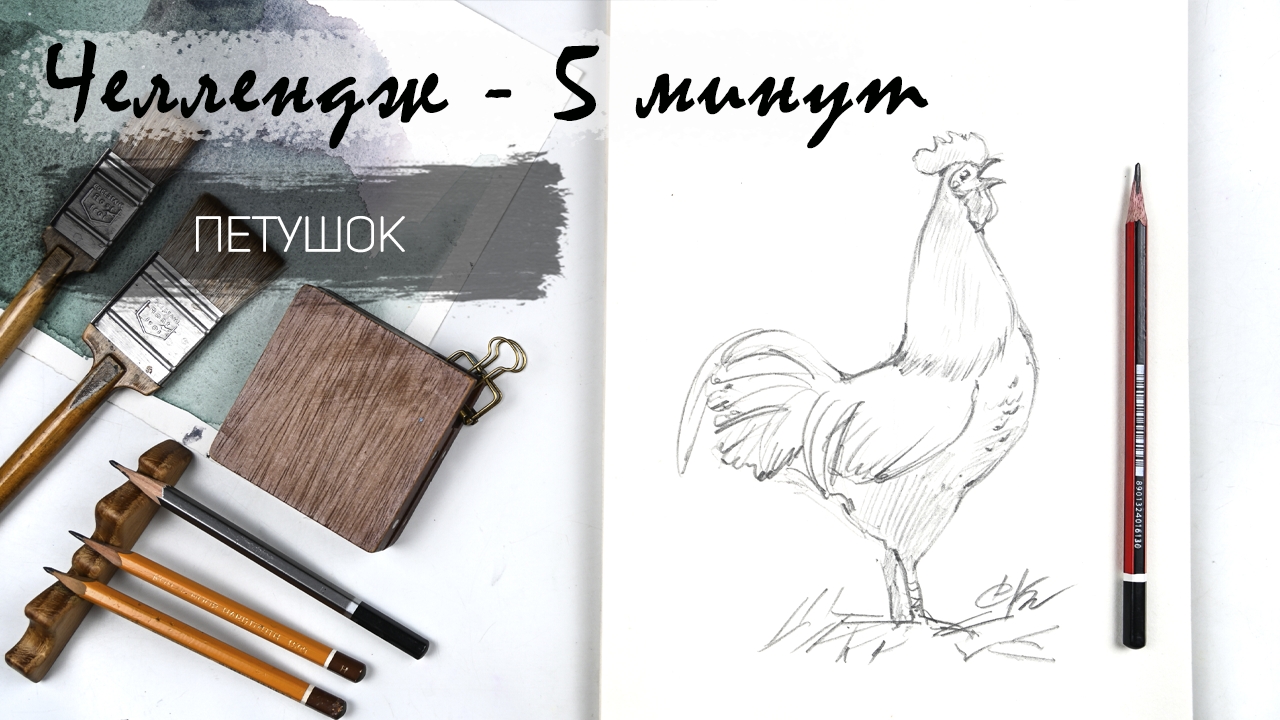 Петушок за 7 минут простым карандашом. Рисуем регулярно. Быстрые наброски смотреть онлайн