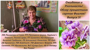 Ожидание и Реальность! Обзор процветших сортов Фиалок! Выпуск 5!