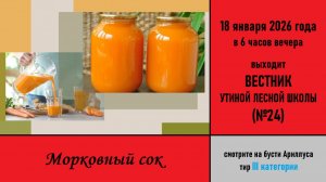 Морковный сок