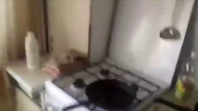 вода в кипящие масло смотреть онлайн