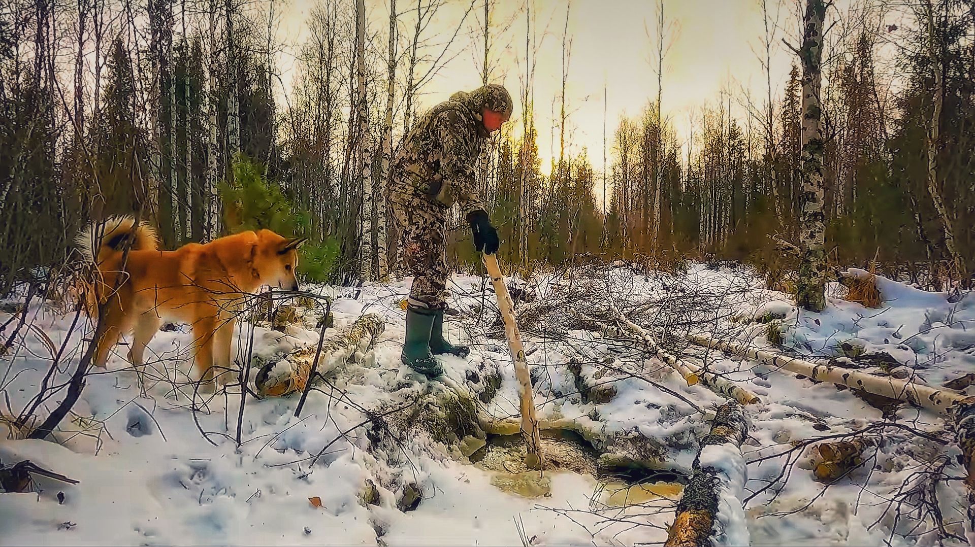 ОТ ЯМЫ В ТАЁЖНОМ РУЧЬЕ НИЧЕГО НЕ ОСТАЛОСЬ. ПОЛ В ЛЕСНОЙ БАНЕ СТАЛ ЛУЧШЕ. ДРОВА, ВОДА, ПОМ......