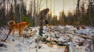 ОТ ЯМЫ В ТАЁЖНОМ РУЧЬЕ НИЧЕГО НЕ ОСТАЛОСЬ. ПОЛ В ЛЕСНОЙ БАНЕ СТАЛ ЛУЧШЕ. ДРОВА, ВОДА, ПОМ......