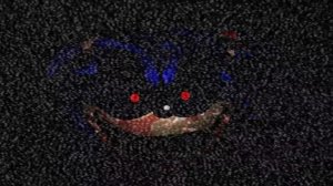 Cofnronting Yourself Sonic exe