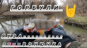 РЫБАЛКА НА ЯУЗЕ РЫБАЧУ СПИННИНГОМ В РЕЧКЕ