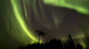 Богатырь 600 по болотам