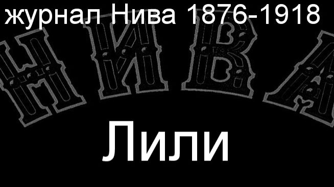 Лили.Гордон, описание журнал Нива 1876-1918 смотреть онлайн