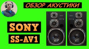 Обзор акустической системы SONY SS-AV1